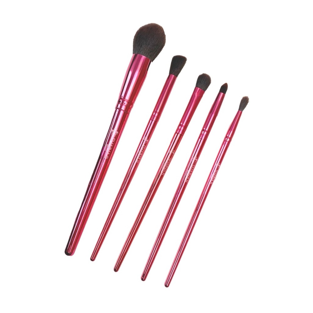 NEW - SHAINAB Miami Makeup Brush Set Sealed Package unopened